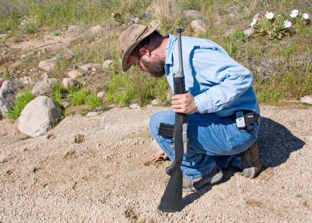 Inspecting coyote tracks