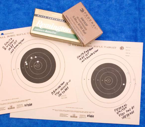 Image of the targets being described